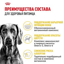 Сухой корм Royal Canin Maxi Dermacomfort для взрослых крупных пород 10 кг